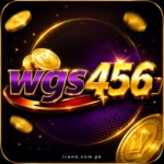 WGS456 Game,
