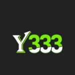 Y333 Game