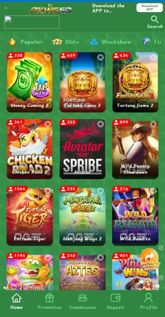 PKWG5D Game
